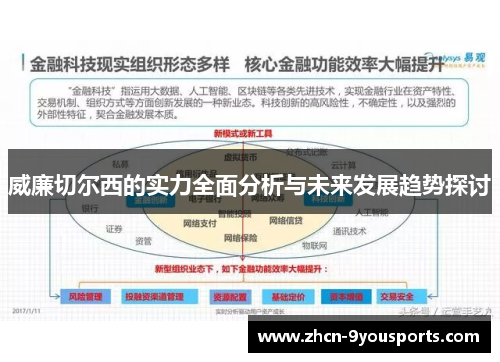 威廉切尔西的实力全面分析与未来发展趋势探讨