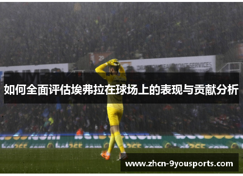 如何全面评估埃弗拉在球场上的表现与贡献分析